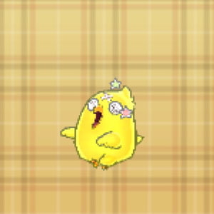 ピヨピヨコ